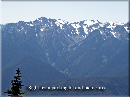 Hurricane Ridge picnic area